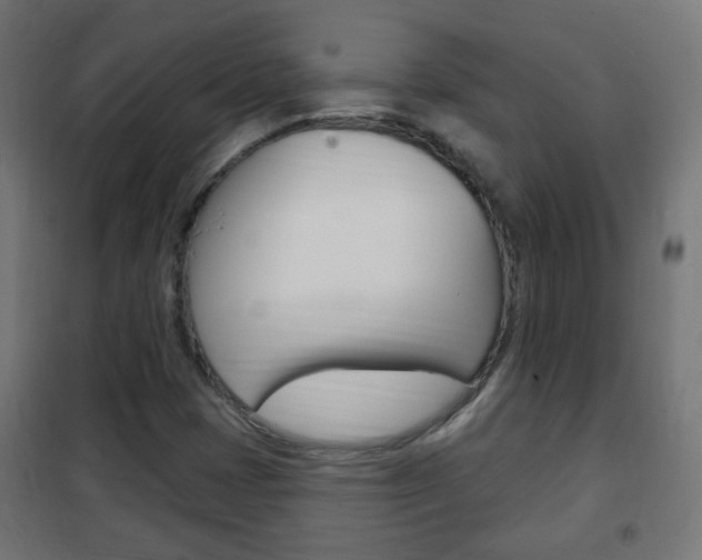X0000102461401200808080933