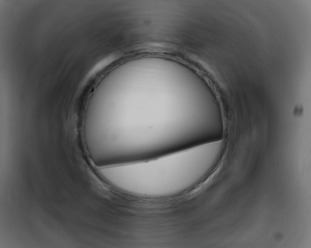 X0000102461402200808080933