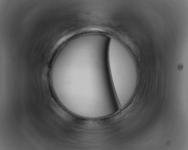 X0000102461404200808080933