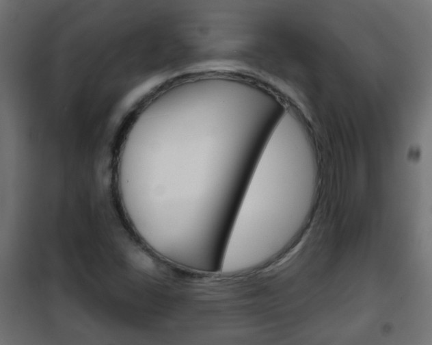 X0000102461406200808080933