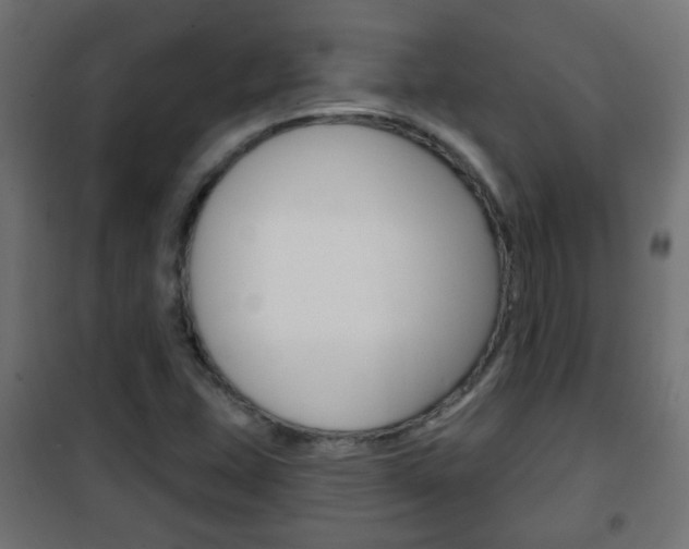 X0000102461407200808080933