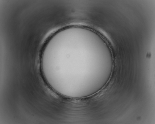 X0000102461408200808080933
