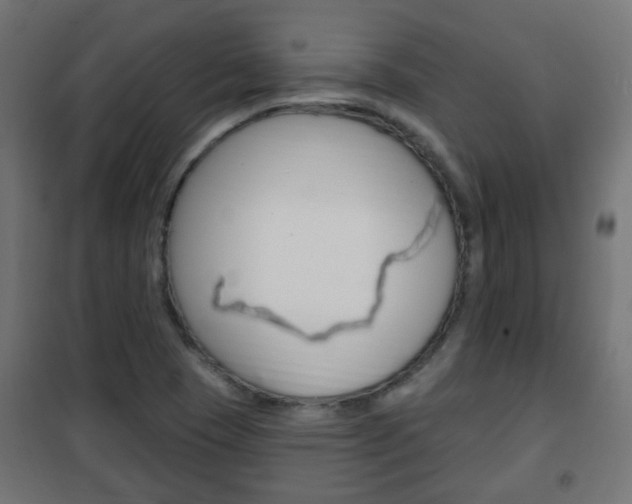 X0000102461409200808080933