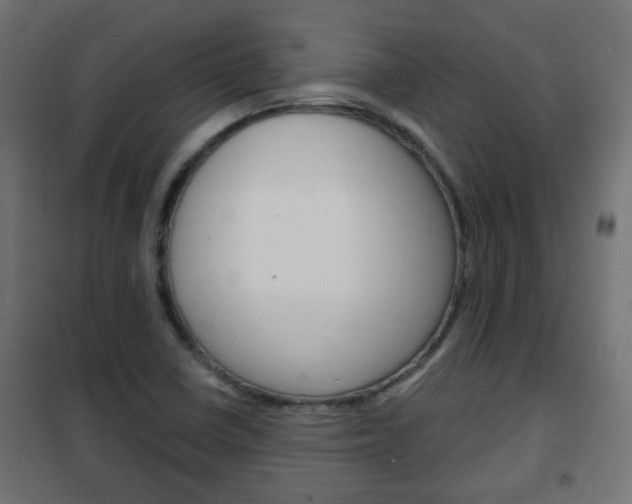 X0000102461410200808080933