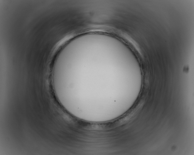 X0000102461411200808080933