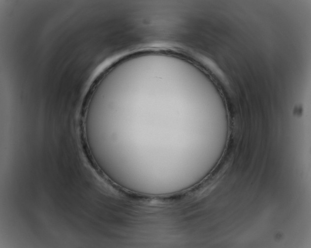 X0000102461412200808080933