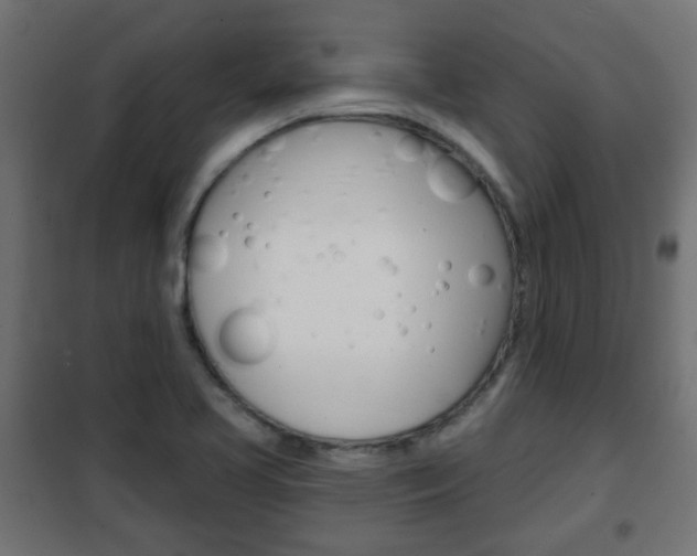 X0000102461413200808080933