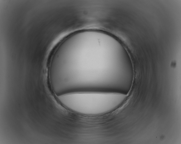 X0000102461414200808080933