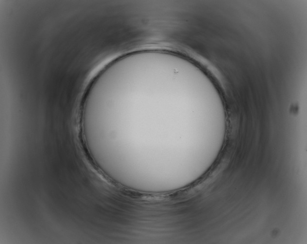 X0000102461415200808080933