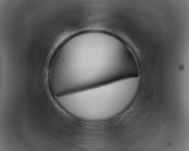 X0000102461416200808080933