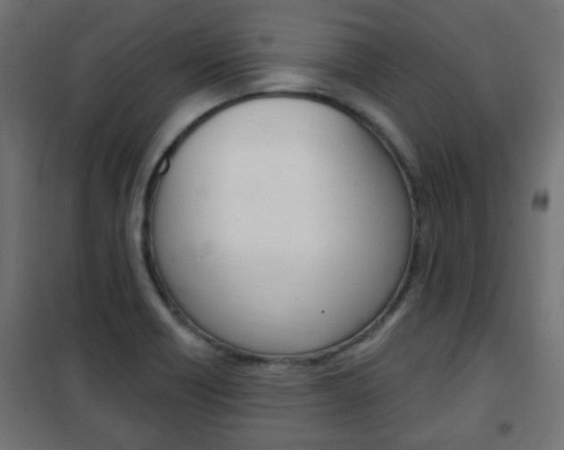 X0000102461418200808080933