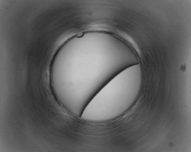 X0000102461419200808080933
