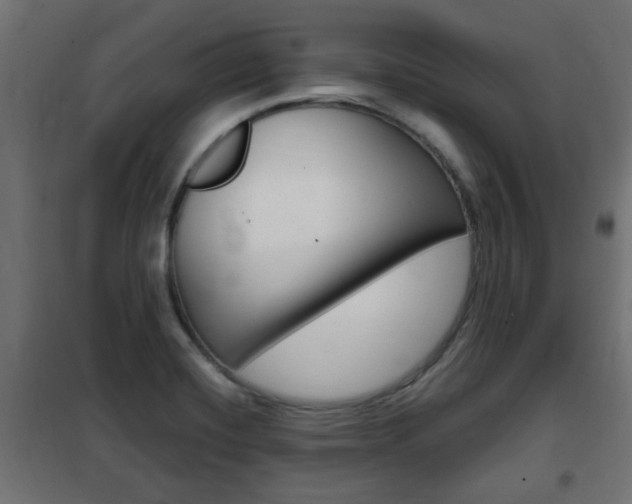 X0000102461420200808080933