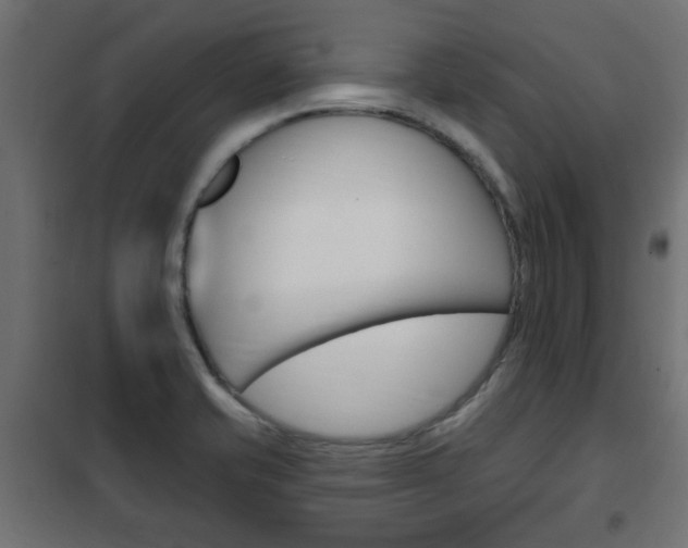 X0000102461421200808080933