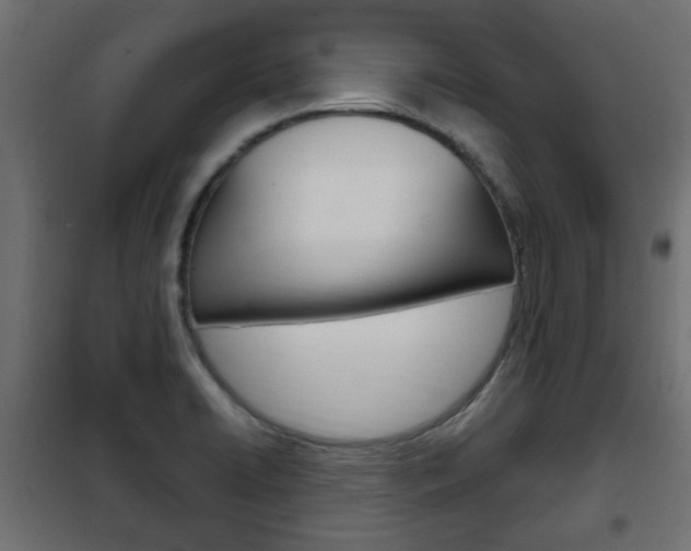 X0000102461422200808080933