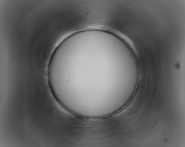 X0000102461423200808080933