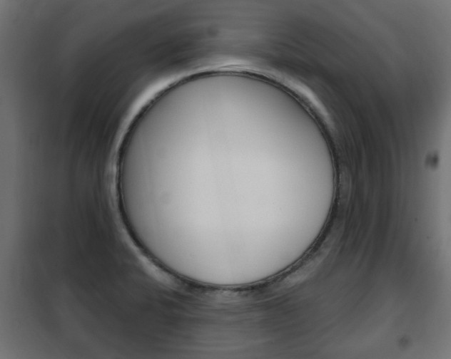 X0000102461424200808080933