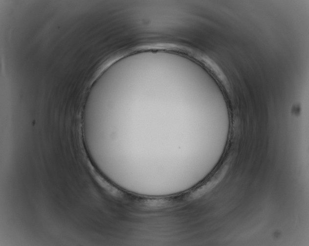 X0000102461425200808080933