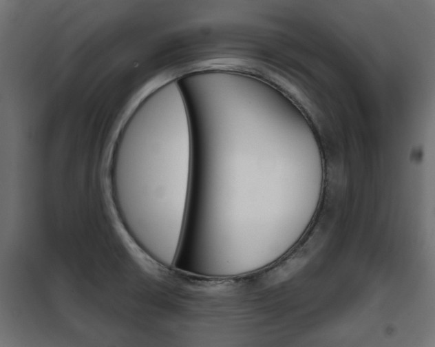 X0000102461426200808080933