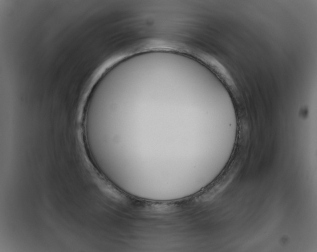 X0000102461427200808080933