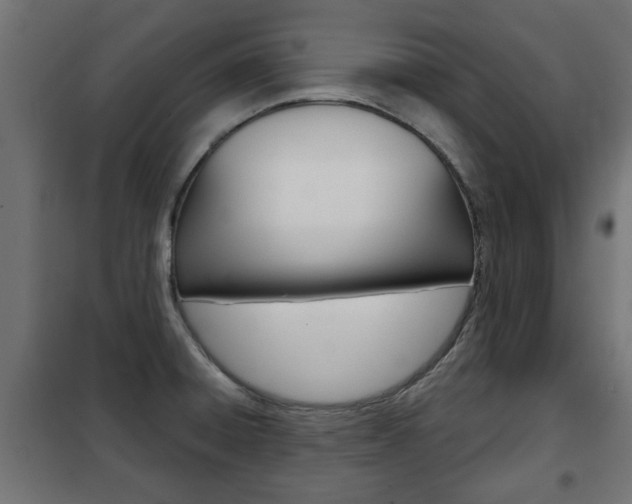 X0000102461428200808080933