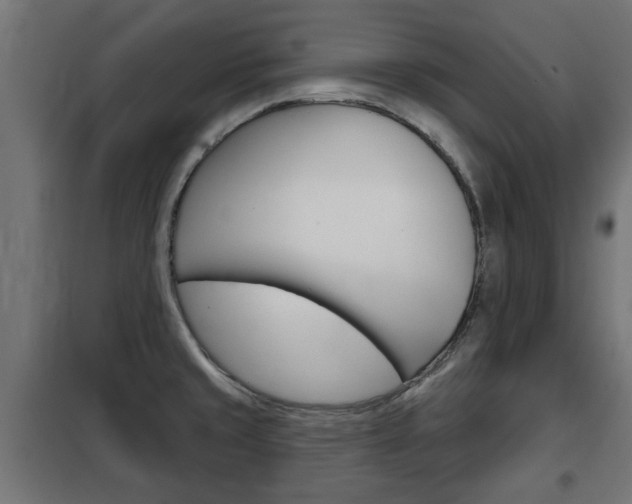 X0000102461429200808080933