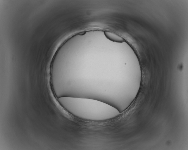 X0000102461431200808080933