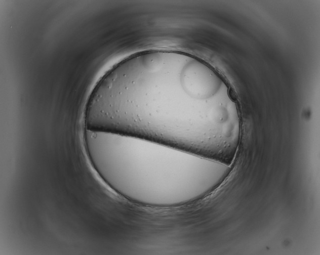 X0000102461432200808080933