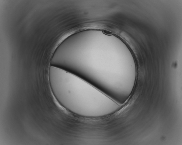 X0000102461433200808080933