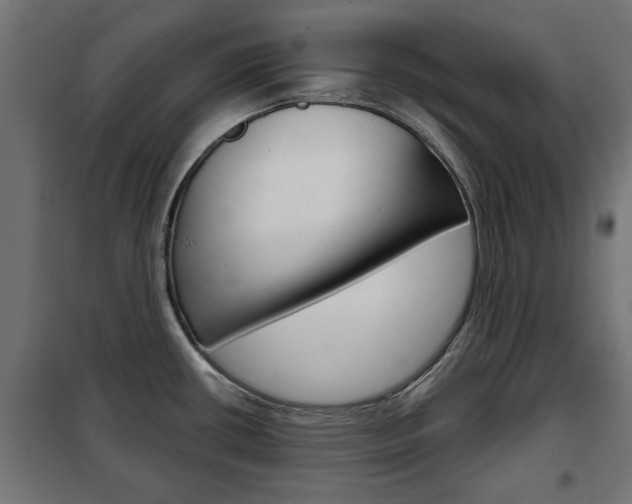 X0000102461434200808080933