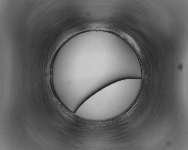 X0000102461435200808080933