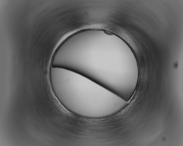 X0000102461436200808080933