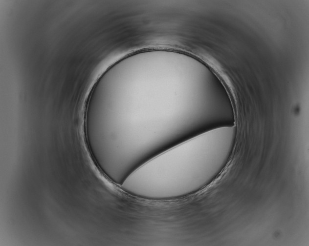 X0000102461437200808080933