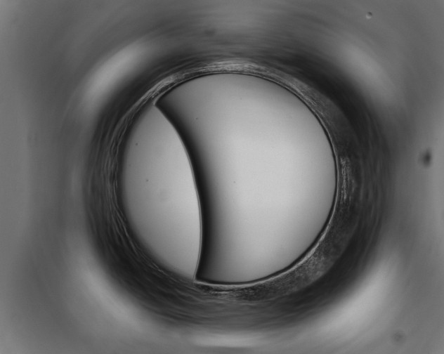 X0000102461438200808080933
