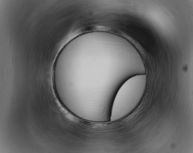 X0000102461439200808080933