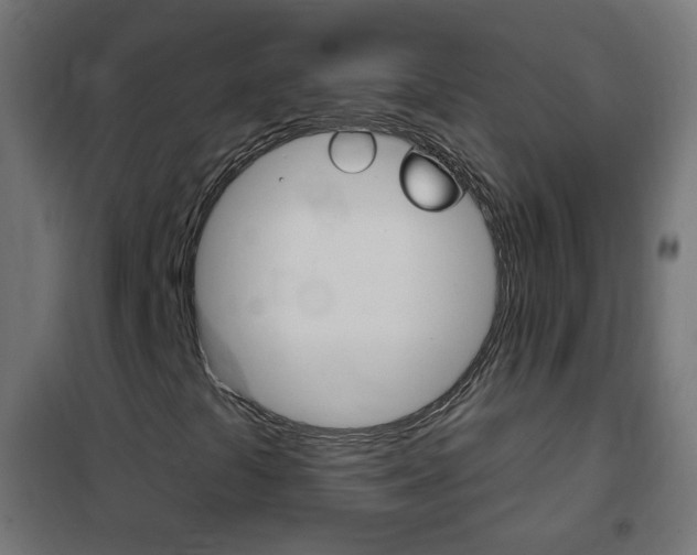 X0000102461441200808080933