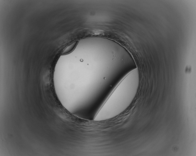 X0000102461442200808080933