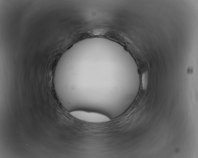 X0000102461443200808080933