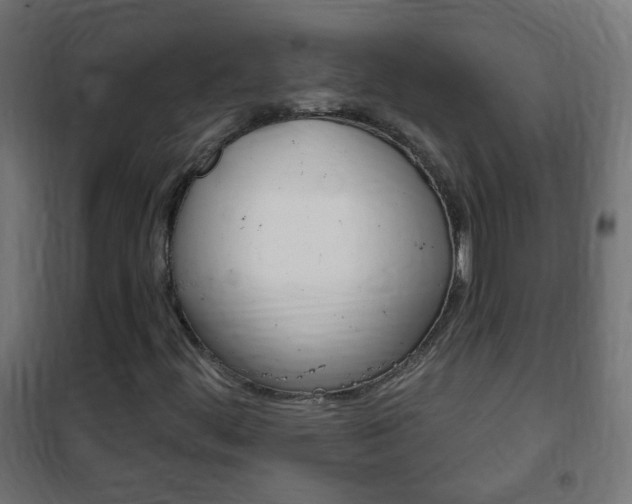 X0000102461444200808080933
