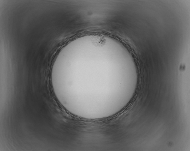 X0000102461445200808080932