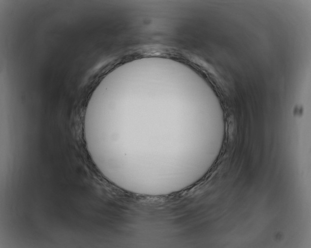 X0000102461446200808080932