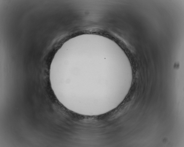 X0000102461447200808080932
