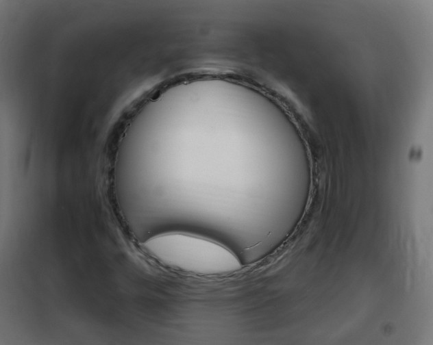 X0000102461448200808080932