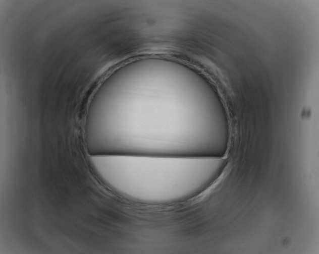 X0000102461449200808080932