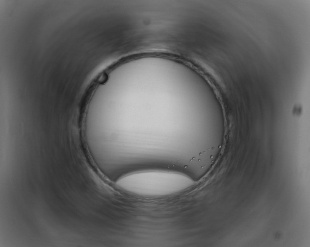 X0000102461452200808080932