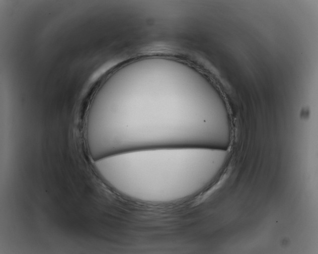 X0000102461453200808080932