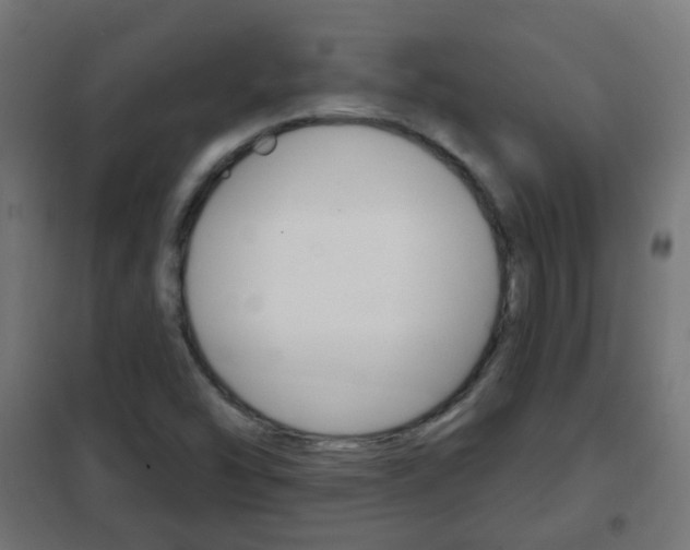 X0000102461454200808080932
