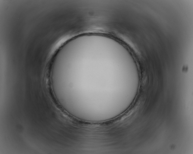 X0000102461455200808080932