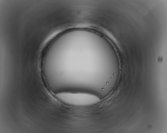 X0000102461456200808080932