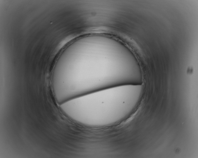 X0000102461457200808080932